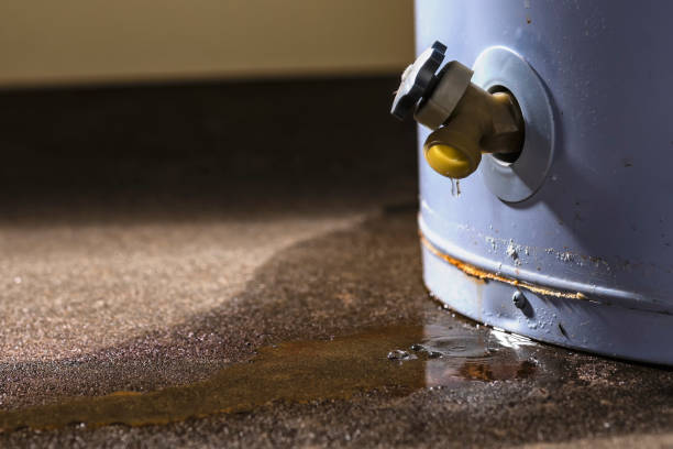 Best Water damage contractors near me  in Somonauk, IL
