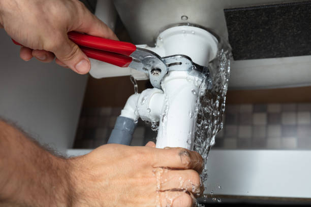 Best Water damage restoration near me  in Somonauk, IL