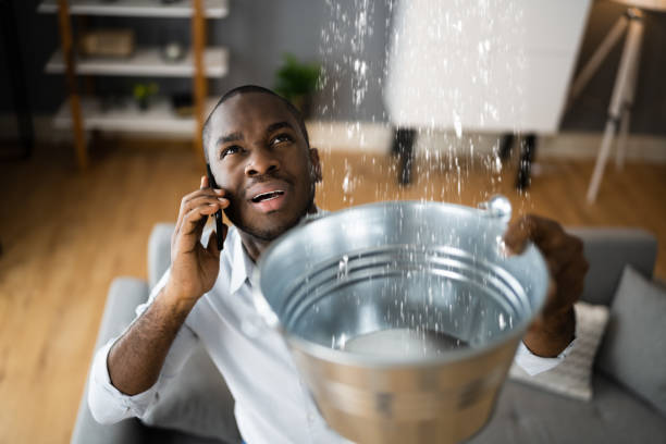 Best Professional water damage repair  in Somonauk, IL