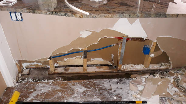 Best Flood damage cleanup  in Somonauk, IL